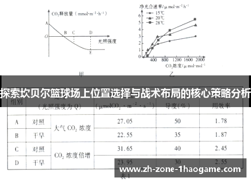 探索坎贝尔篮球场上位置选择与战术布局的核心策略分析